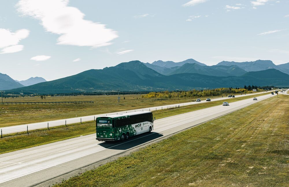 Transport Operators Directory